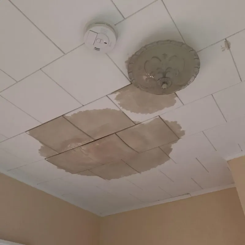 Ceiling Water Damage Repair in Como, WI