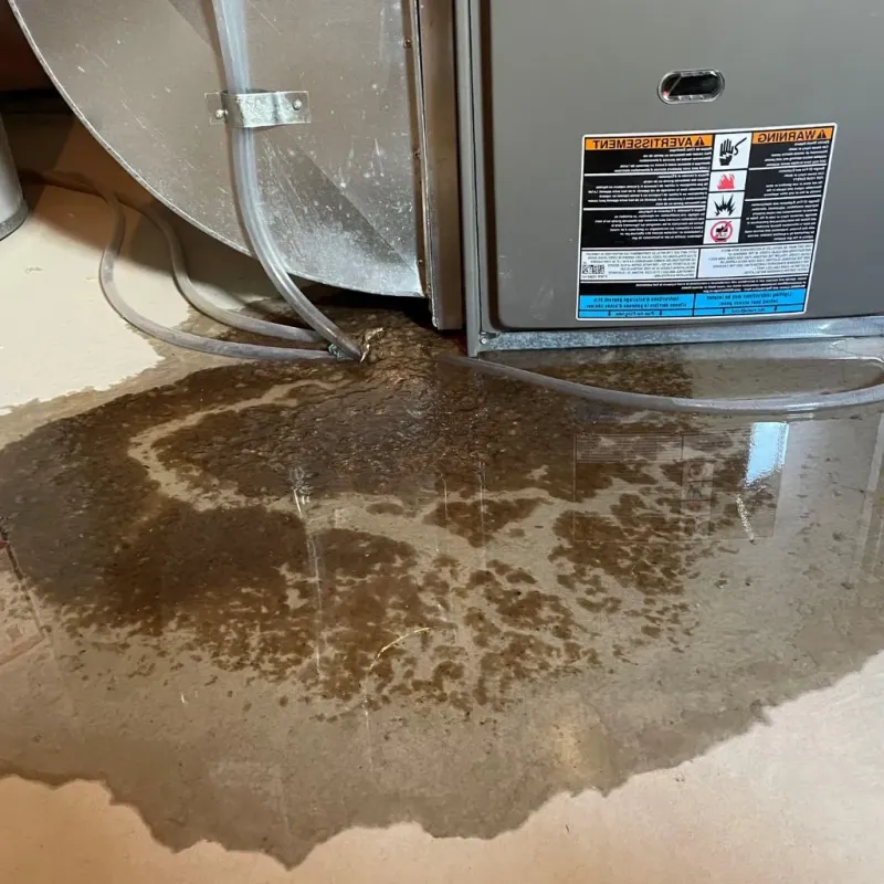 Pipe Burst and Leak Restoration in Como, WI