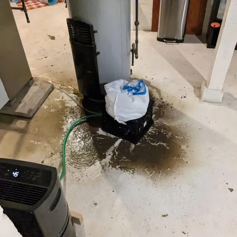 Sewage Backup Cleanup Service in Como, WI